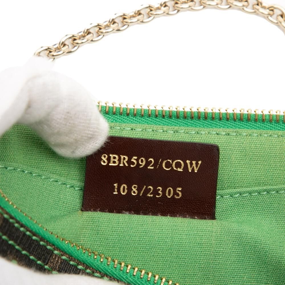 Fendi Zucca Pochette