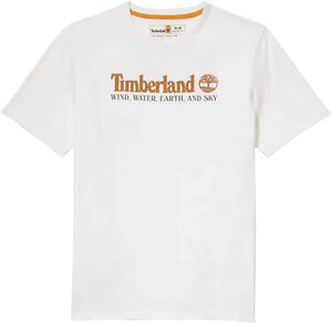wwes front tee