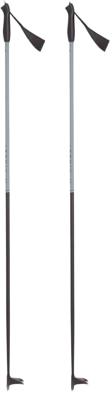 ACTIVE 100 I Skistave