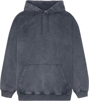 WBPaw Washed Hoddie