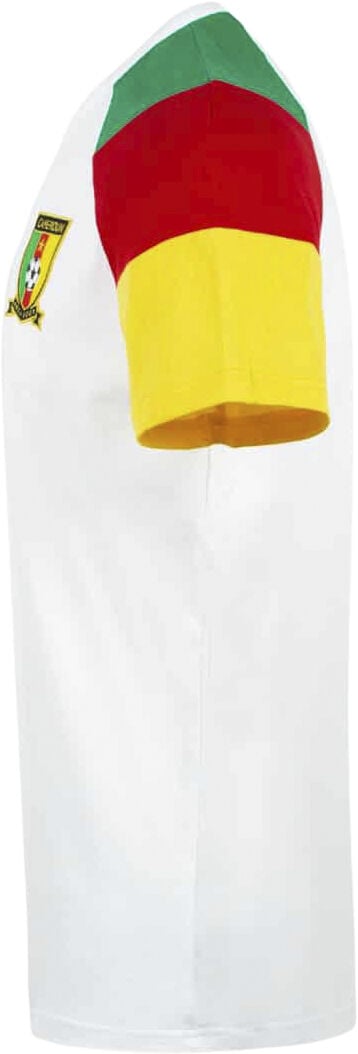 CAMEROUN PRESENTATION TEE SS M