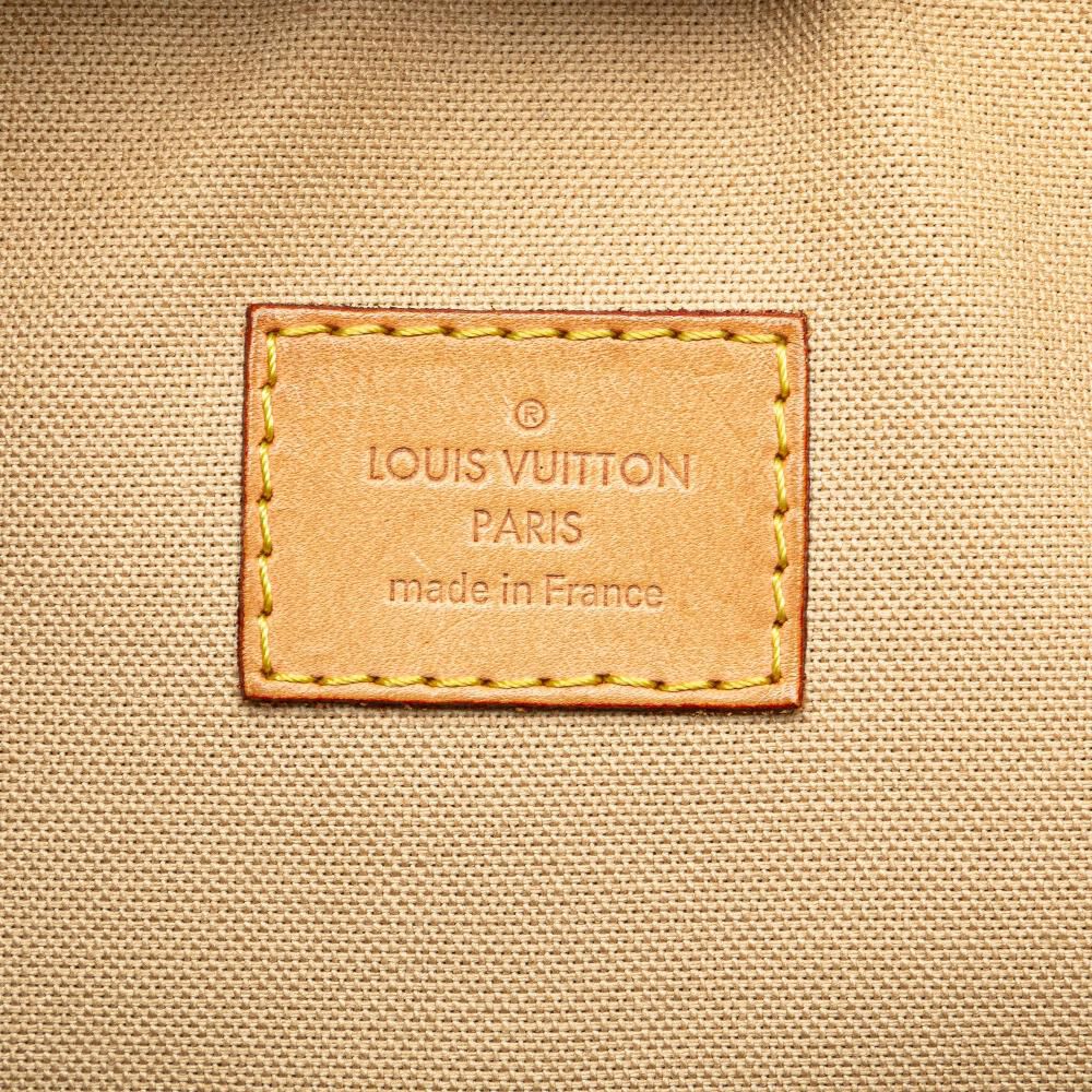 Louis Vuitton Shoulder Bags