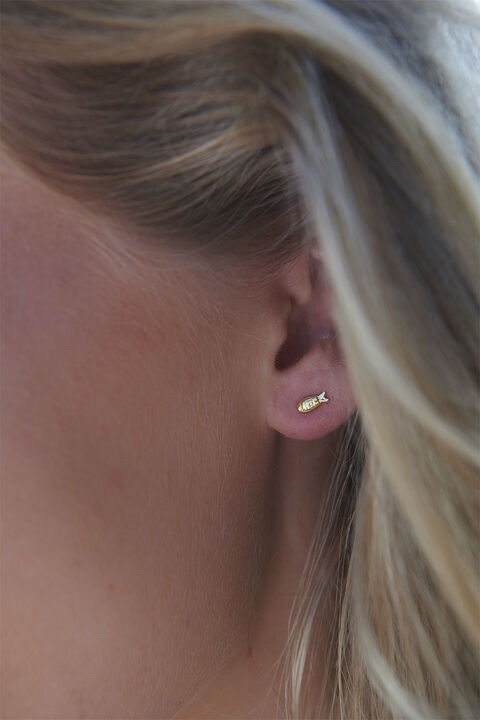 Global Goal #14: Fish Studs