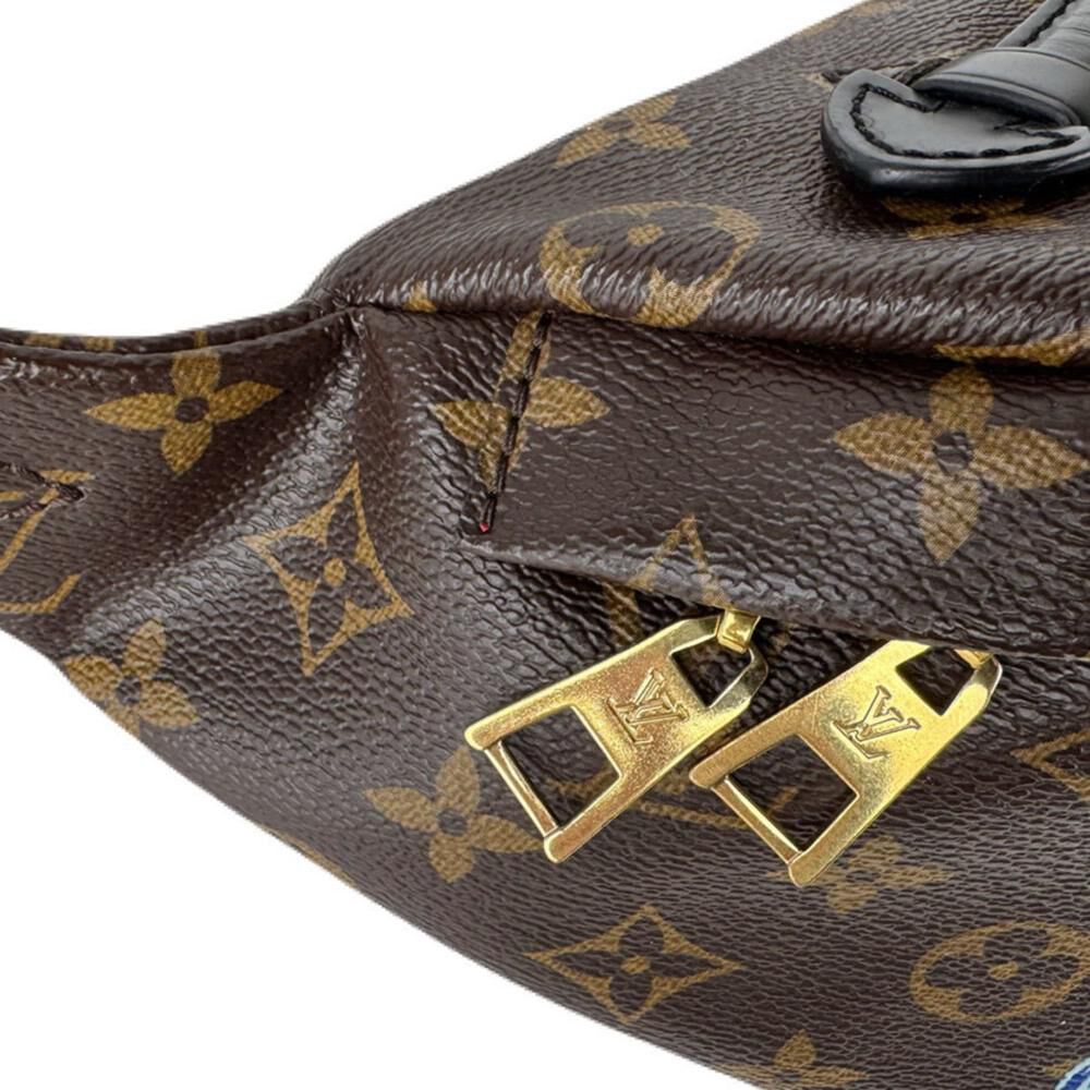 Louis Vuitton Bumbag
