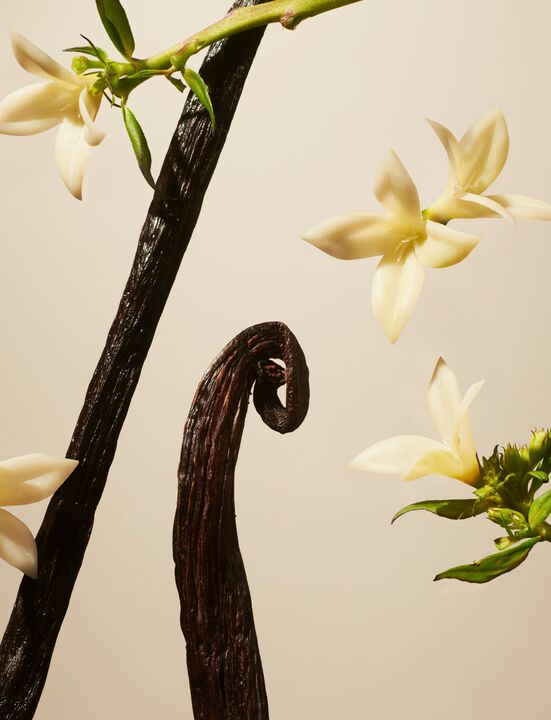 Suede Vanilla Refill Home Perfume 400ml