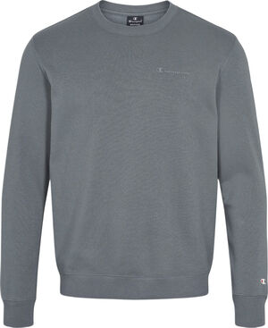 Small Script Logo Fleece sweatshirt