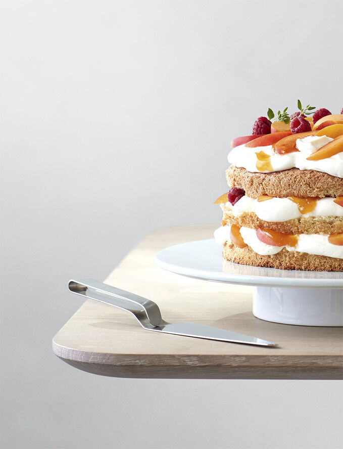 EM kage/serveringsspade steel