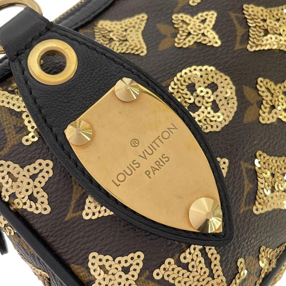 Louis Vuitton Pochette Accessoires