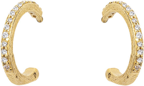 Sparkly Hoop Earrings