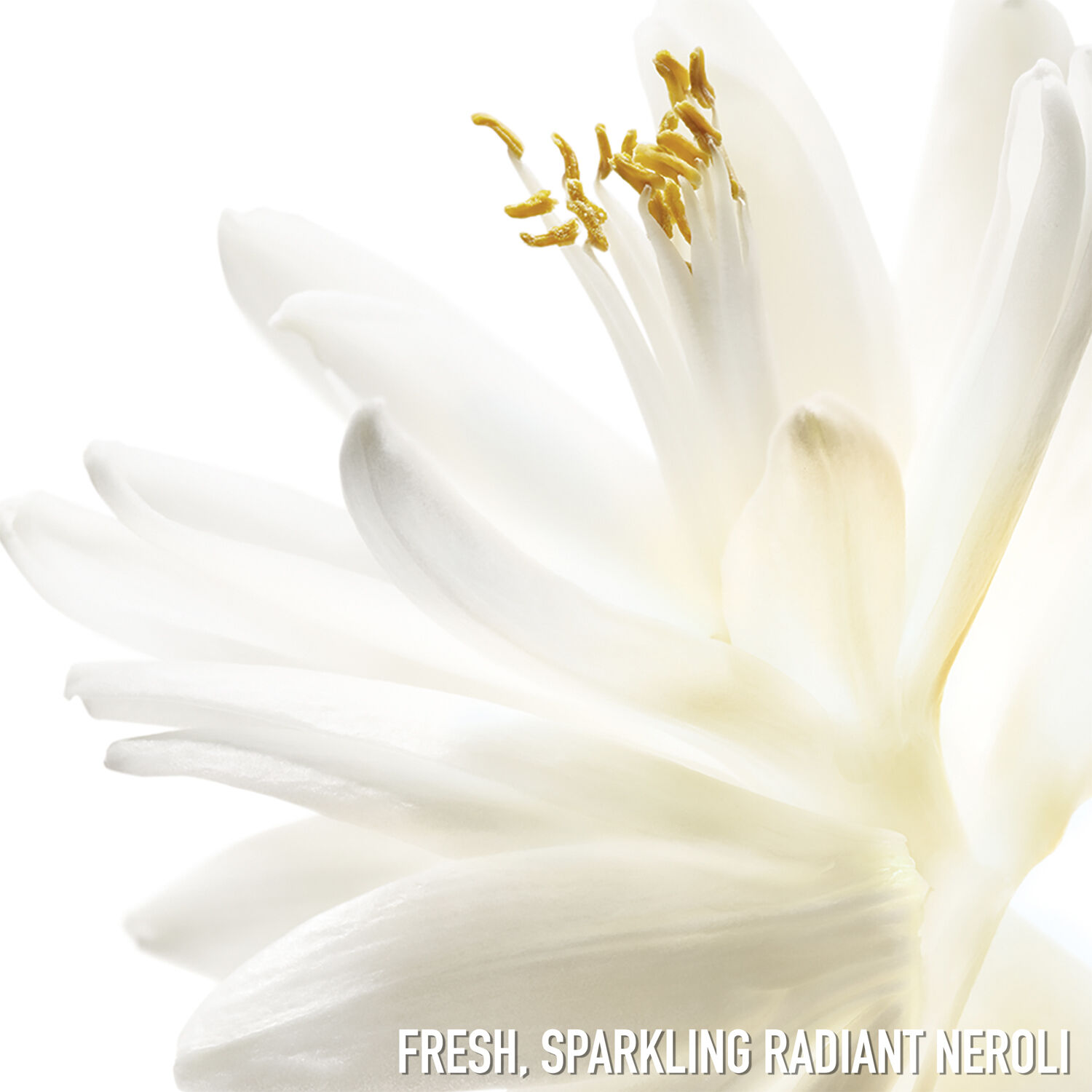 J'adore Eau de toilette