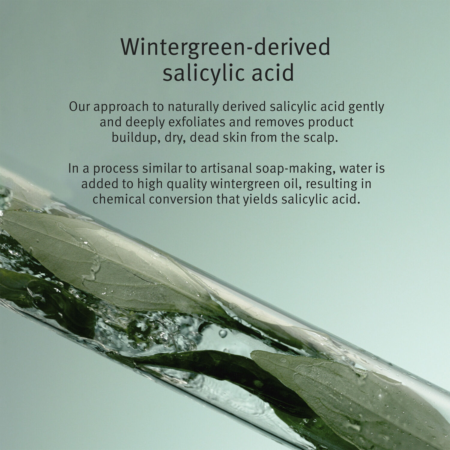 Scalp Solutions Exfoliating Scalp Treatment 150ml