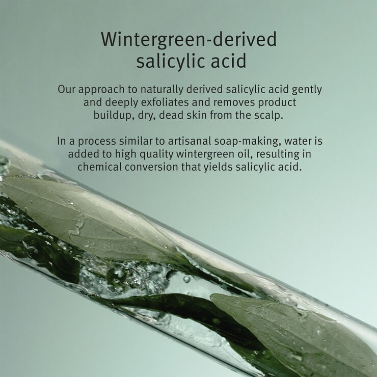 Scalp Solutions Exfoliating Scalp Treatment 150ml