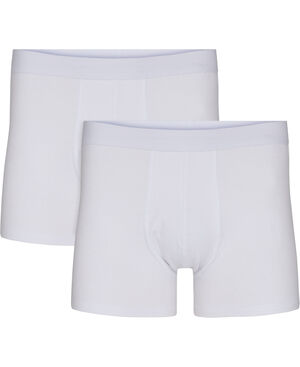 Hr trunk Morley 4
