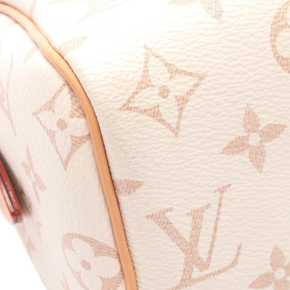 Louis Vuitton Speedy