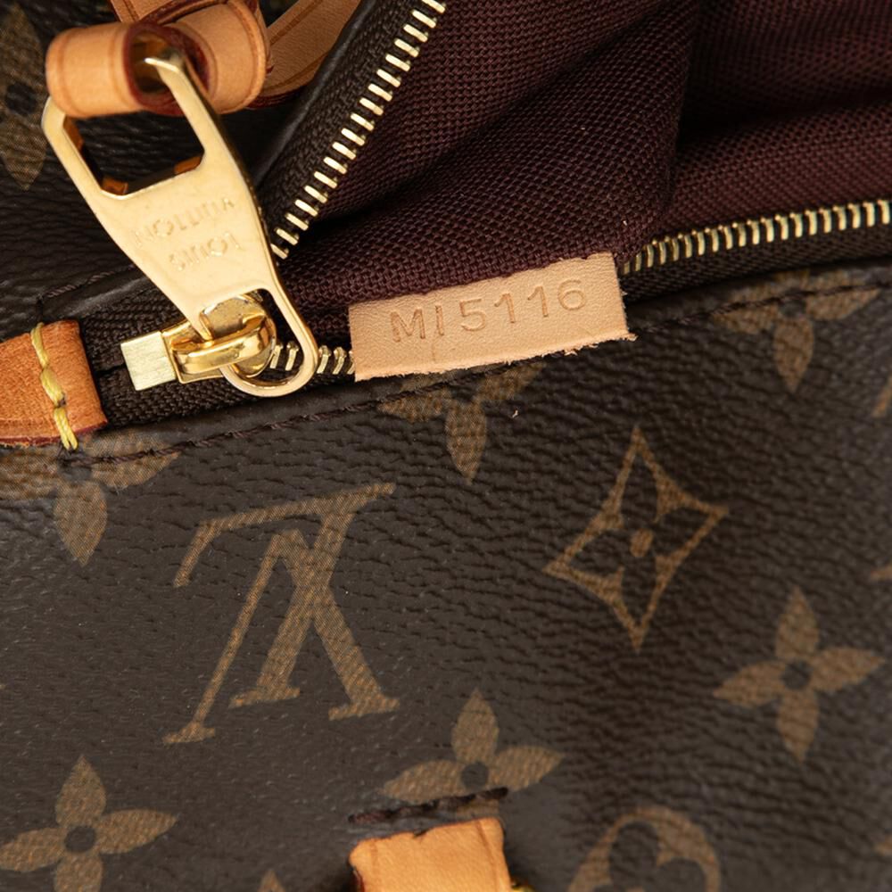 Louis Vuitton Shoulder Bags