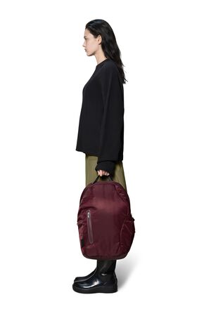 Delphi Backpack W2