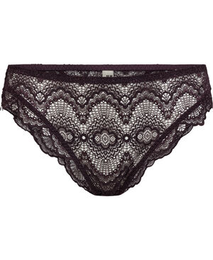 Petal 2 Brief