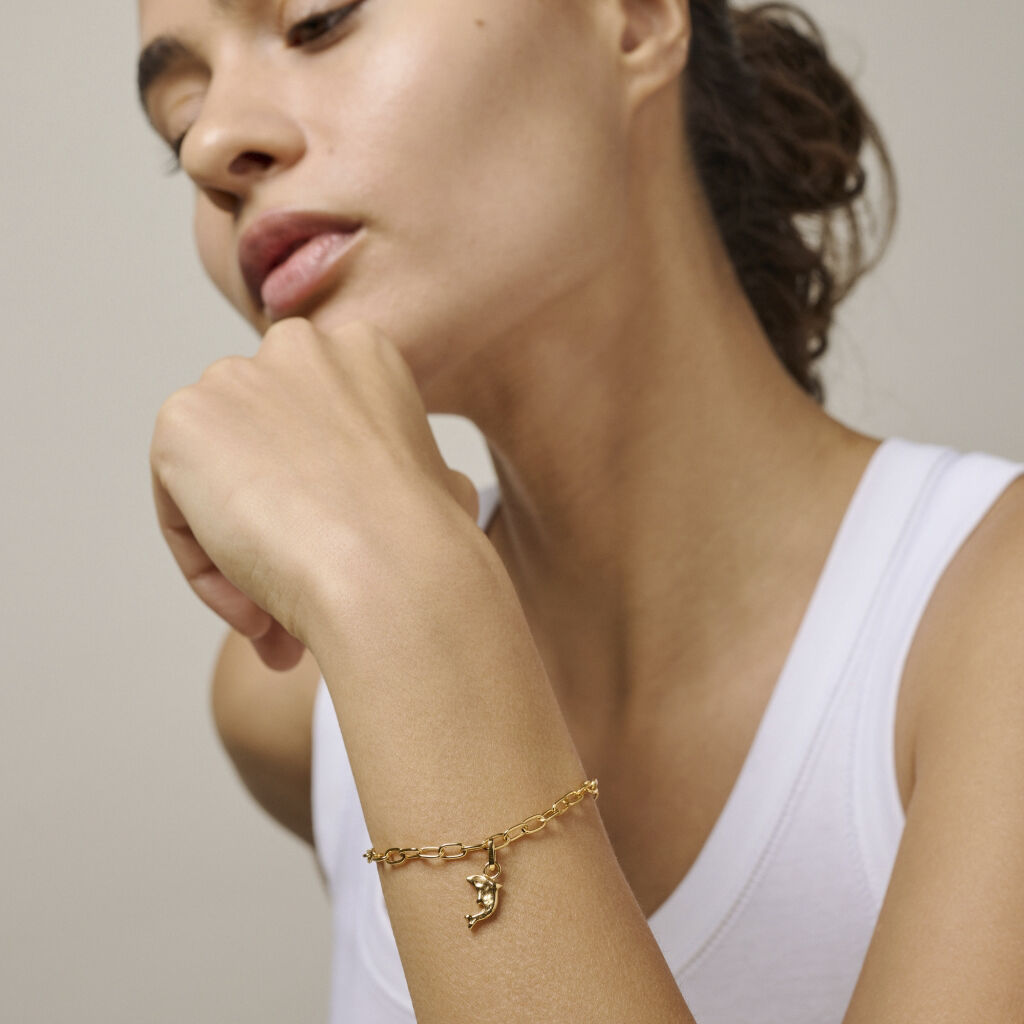 Charm, Joyful Dolphin