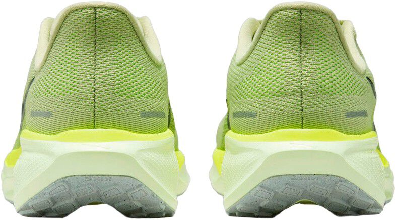 Pegasus 41 L&oslash;besko