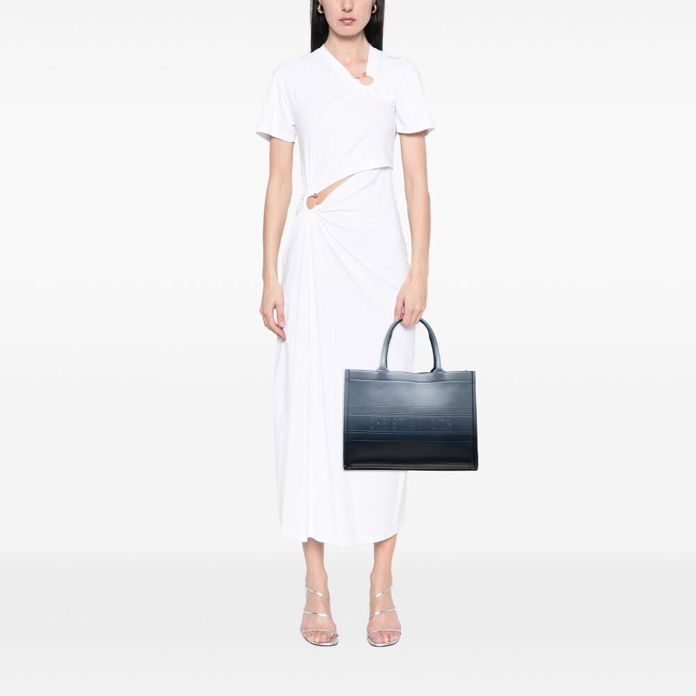 Dior Book Tote