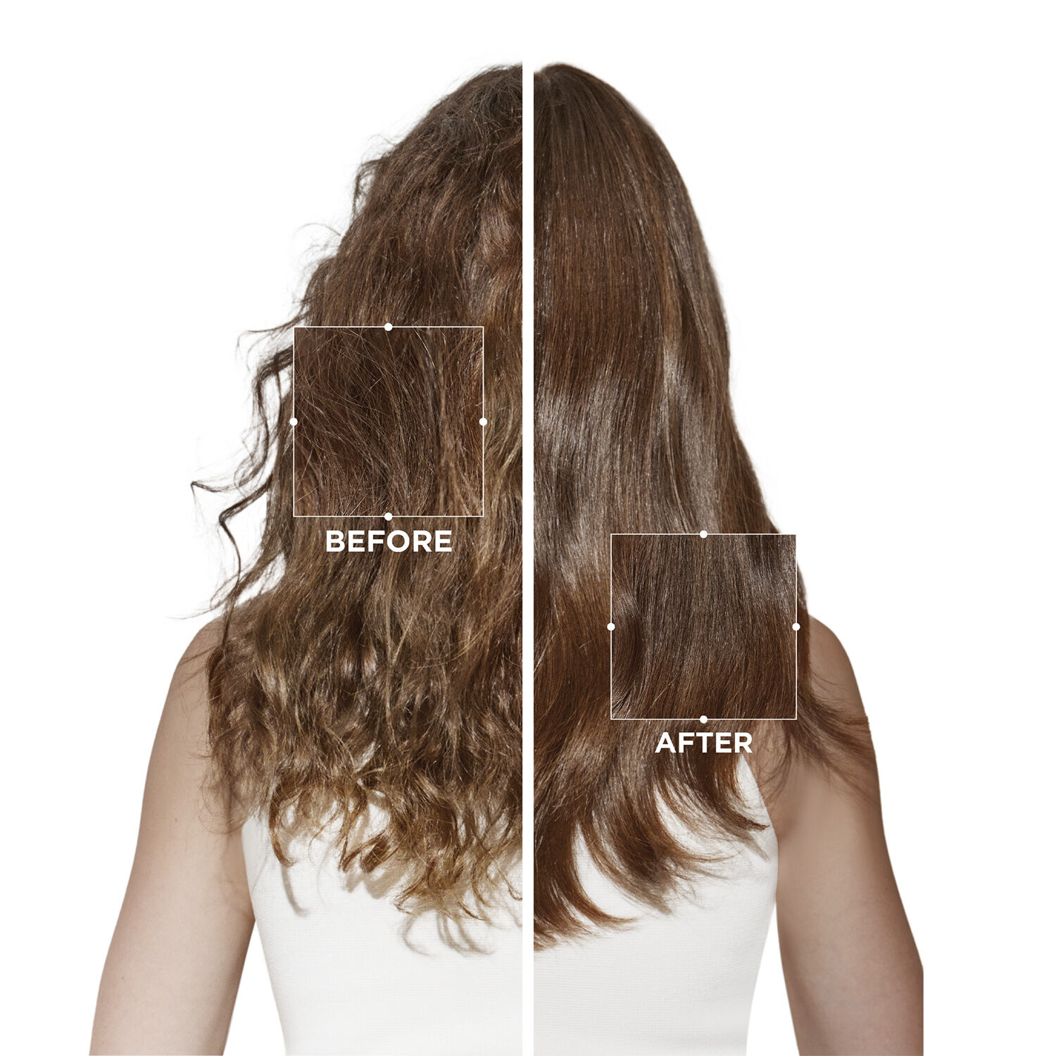 Symbiose Bain Puret&eacute; Shampoo