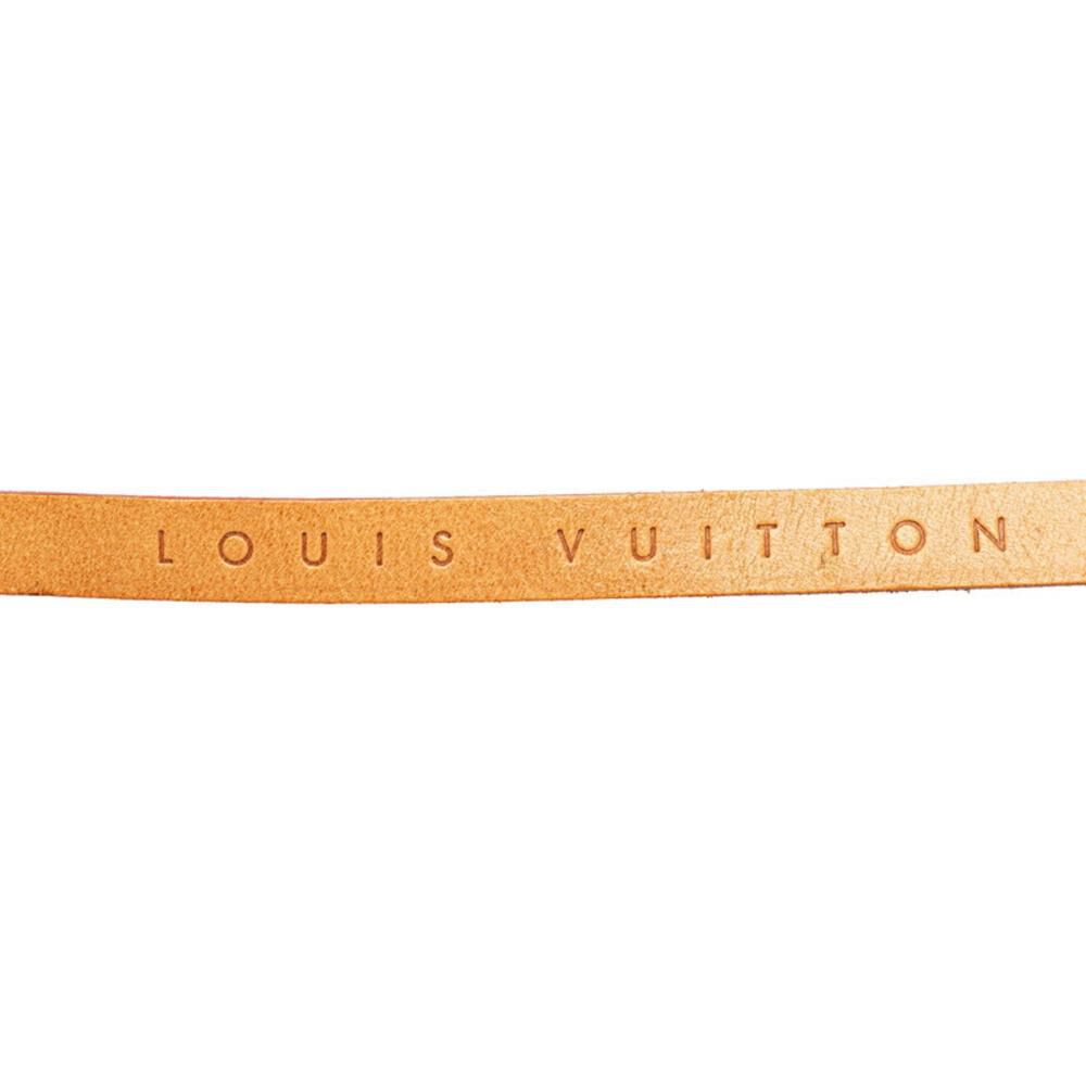 Louis Vuitton Florentine Pochette