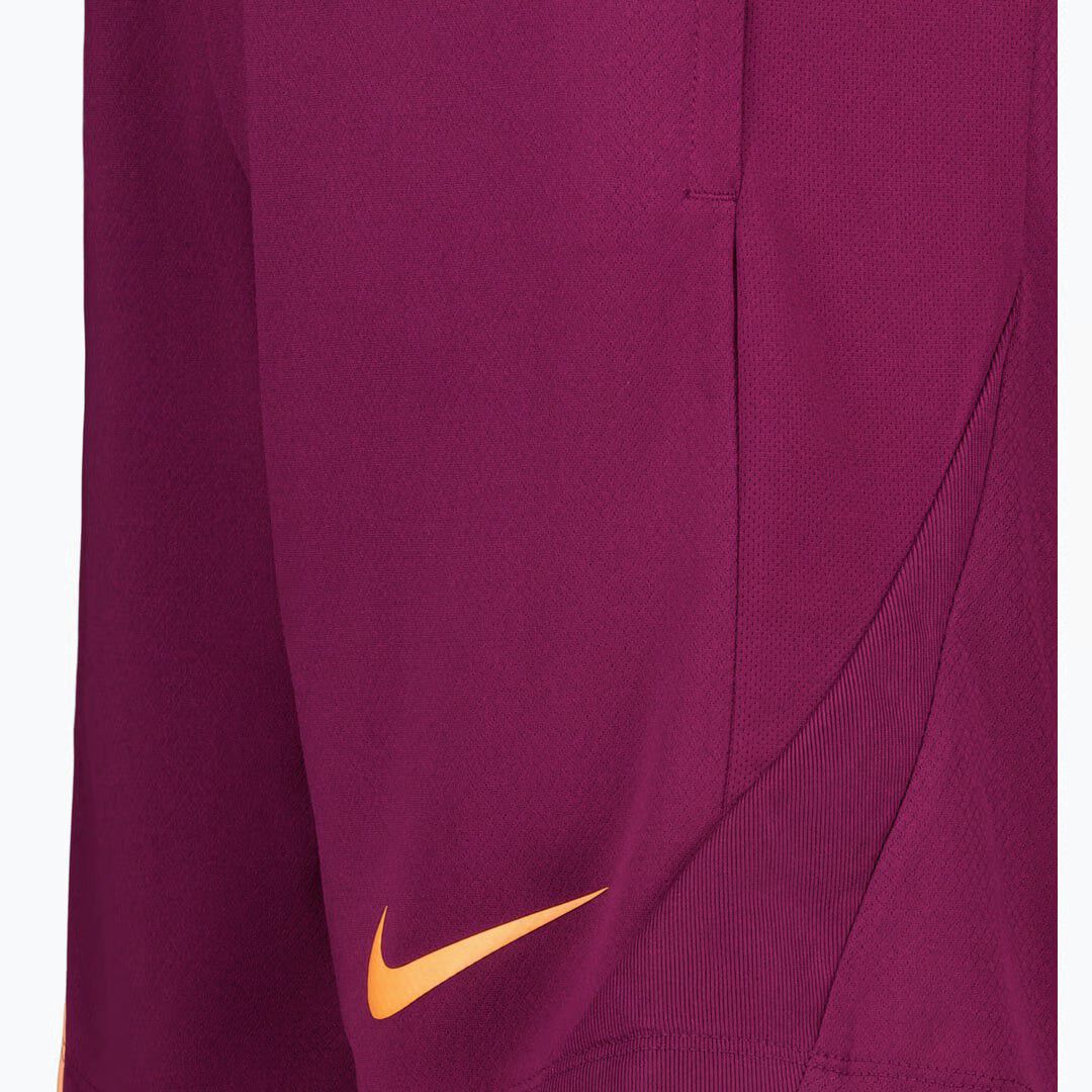 Strike Dri-Fit Shorts