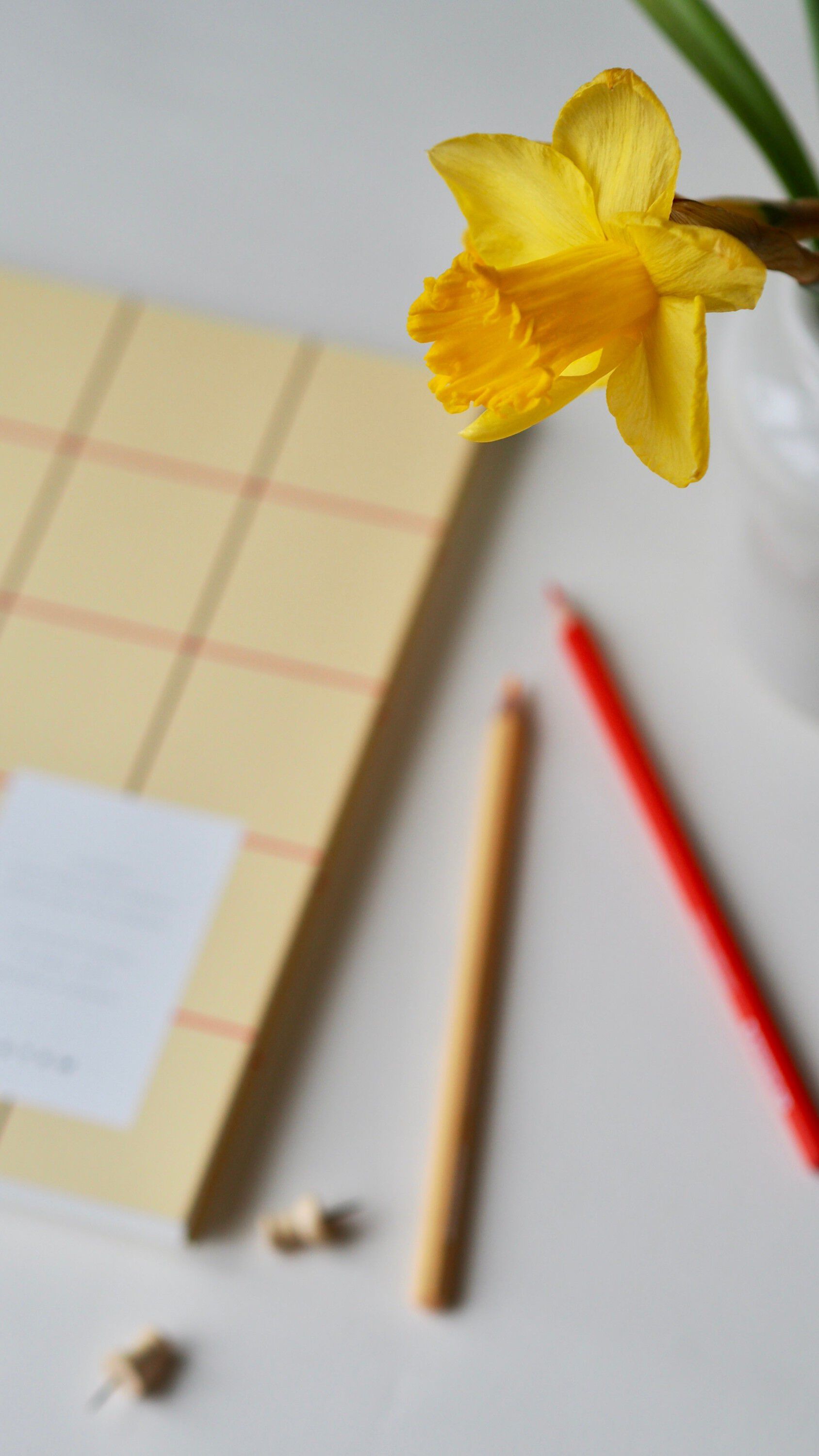 UMA notebook, flat lay binding