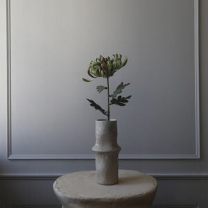 Chrysanthemum Flower