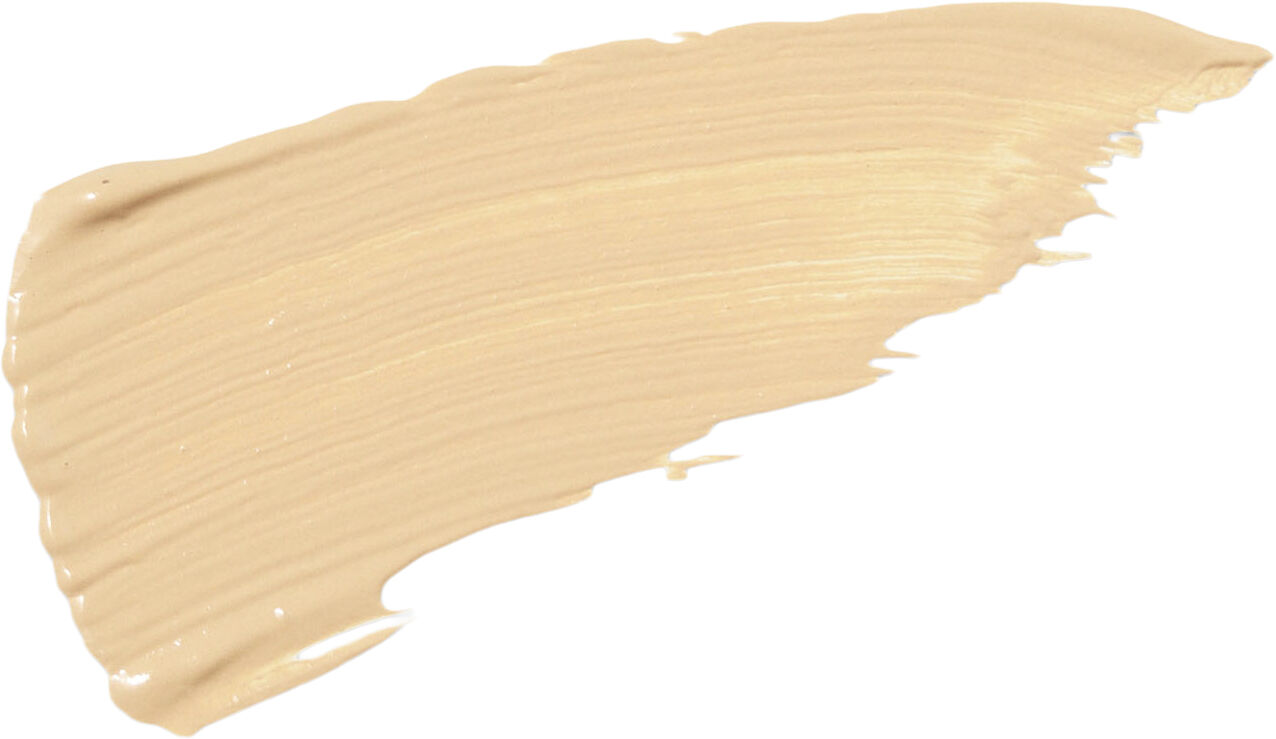 Silky Skin Full Coverage Concealer