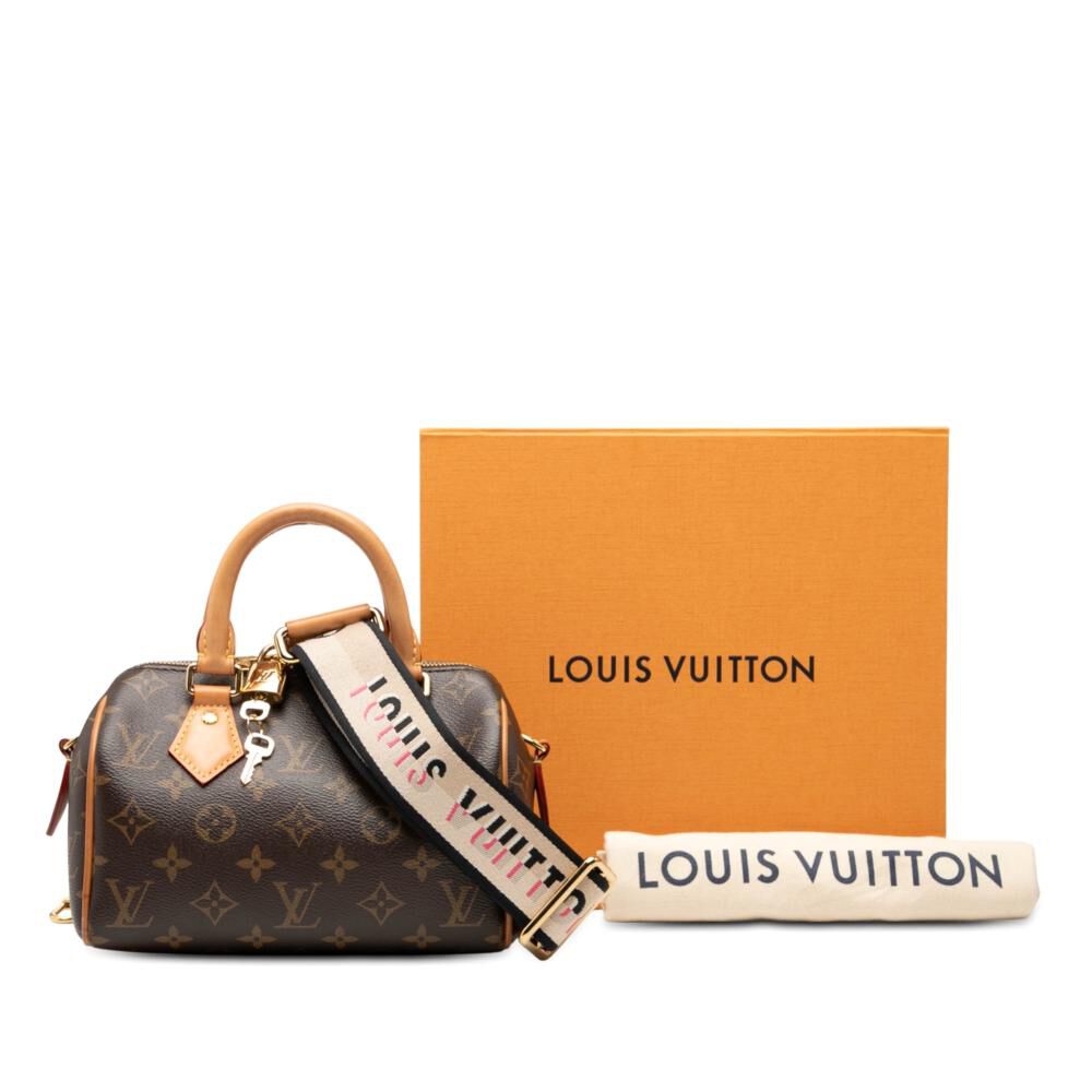 Louis Vuitton Speedy