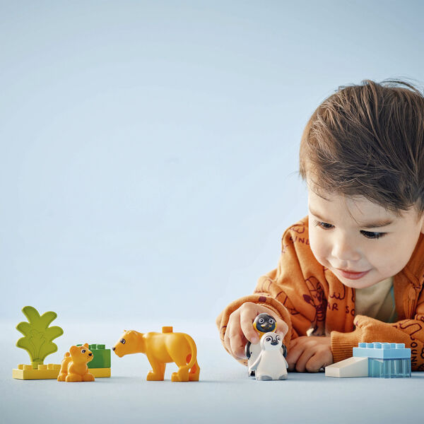 Vilde dyrefamilier pingviner og løver 10442