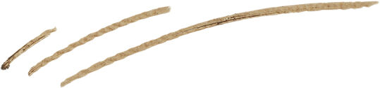 Micro Brow Pen