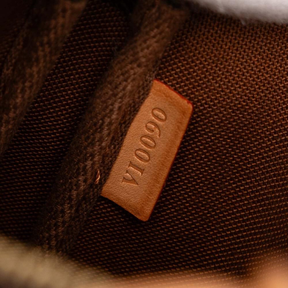 Louis Vuitton Pochette Accessoires