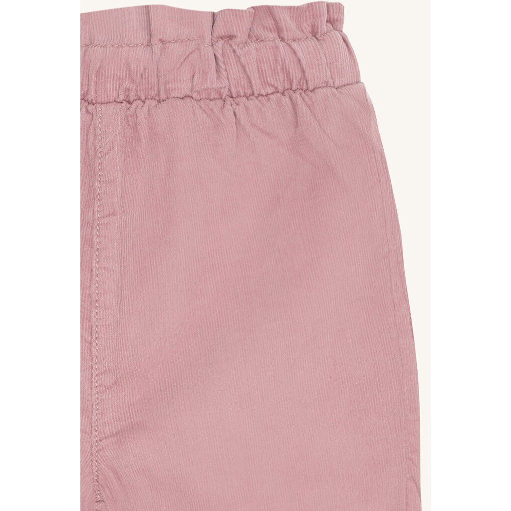 HCTrine Corduroy
