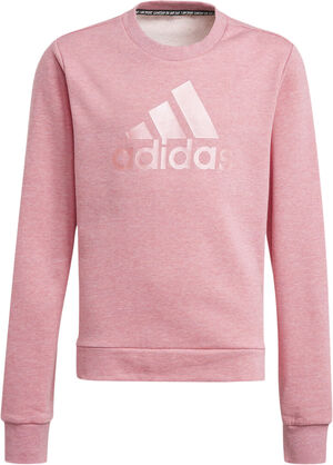 Future Icons Logo Crew sweatshirt