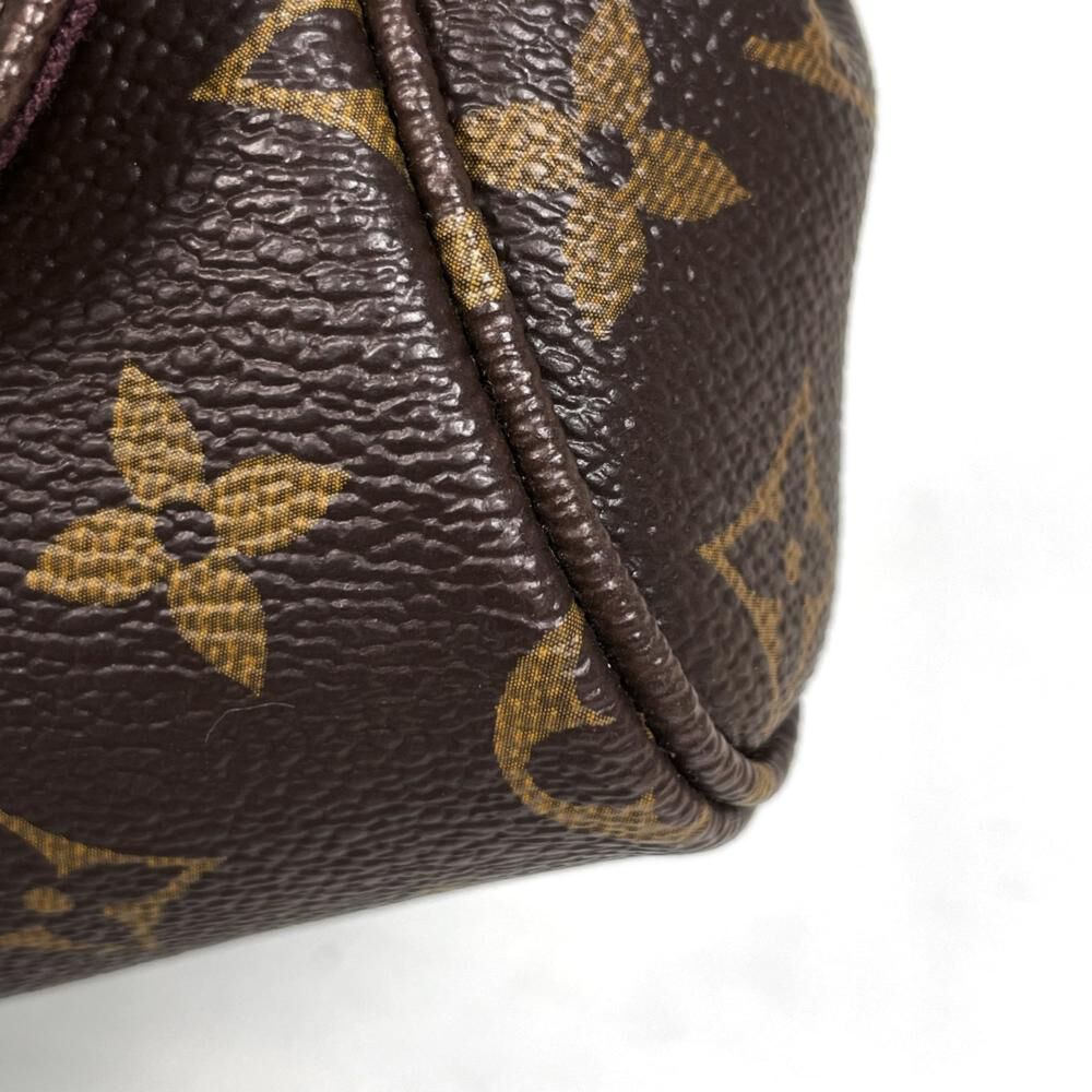 Louis Vuitton Favorite