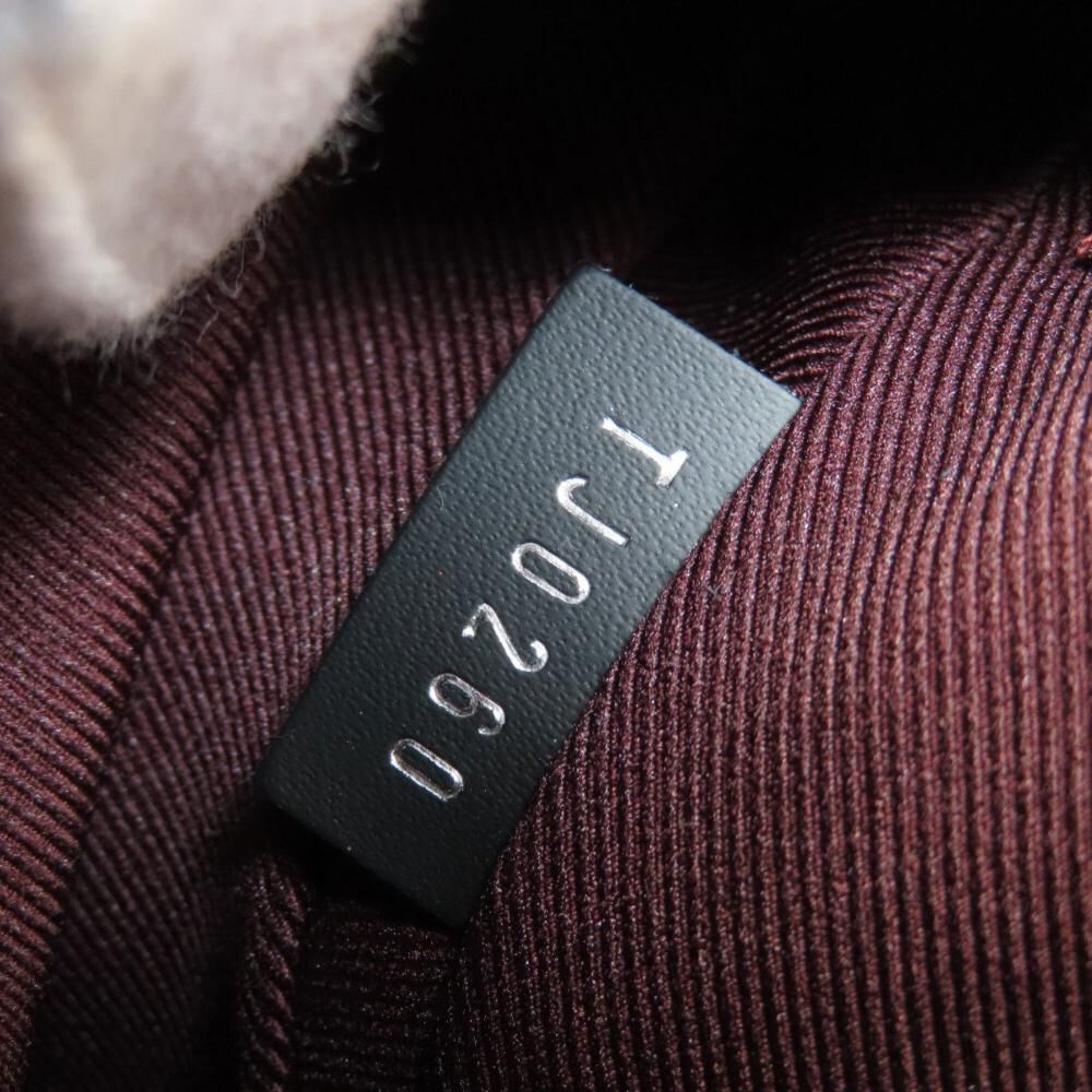 Louis Vuitton Backpack