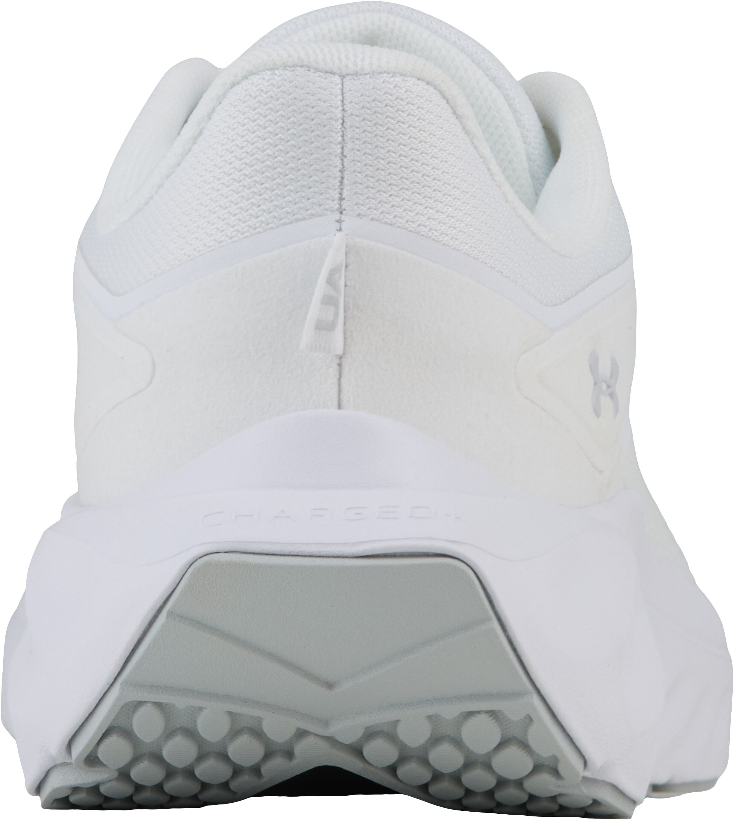 Ascend Tr&aelig;ningsssko