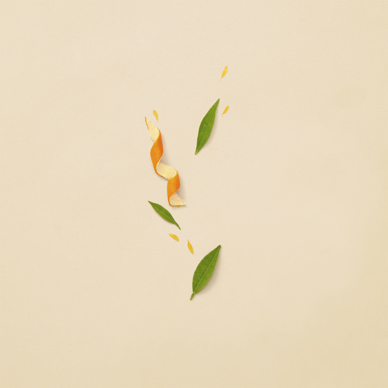 Guilty Revolution Eau De Parfum