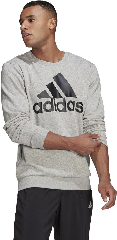 Essentials Big Logo sweatshirt