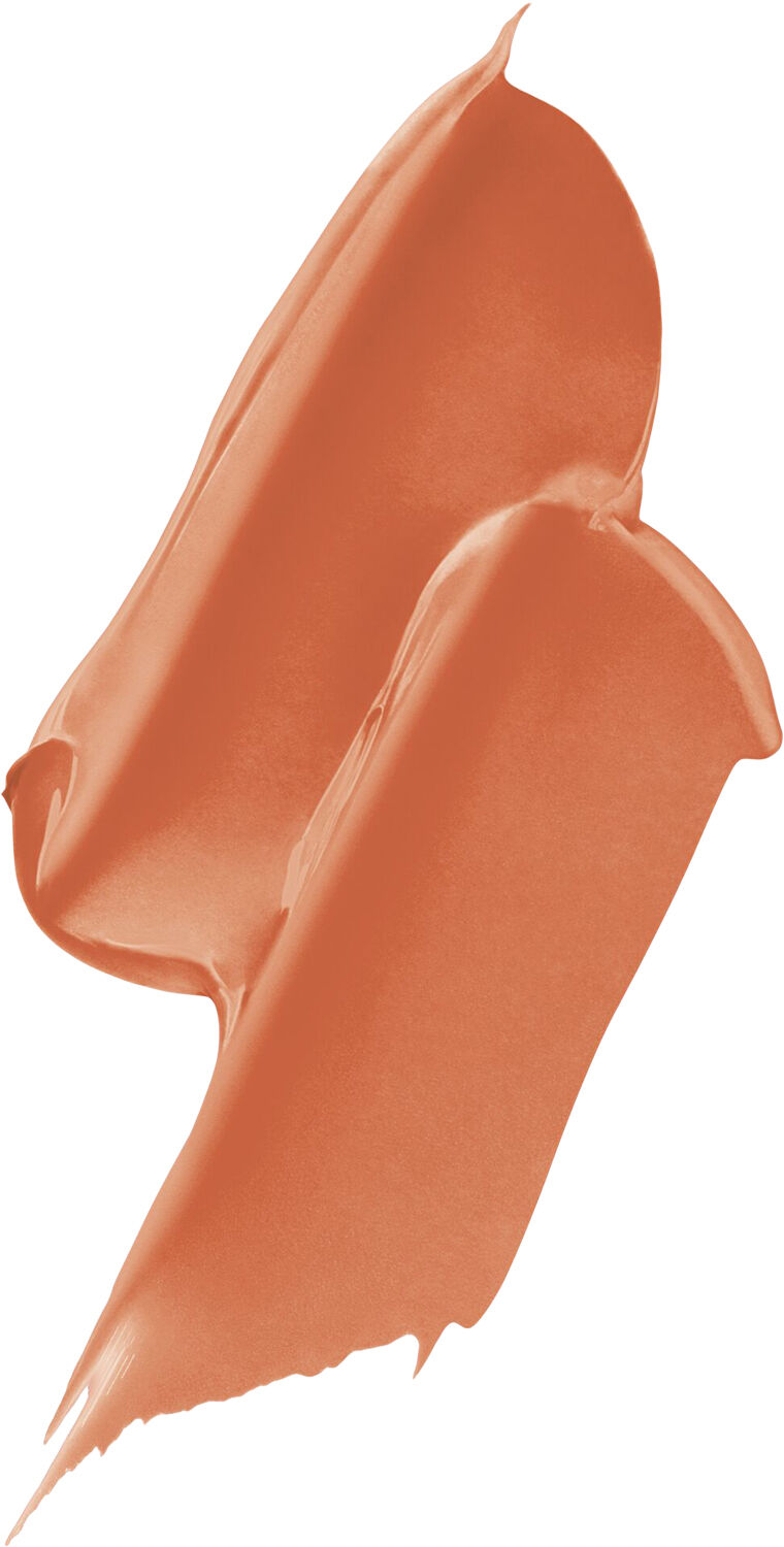 Rouge Dior Forever Stick 231 3. 2G