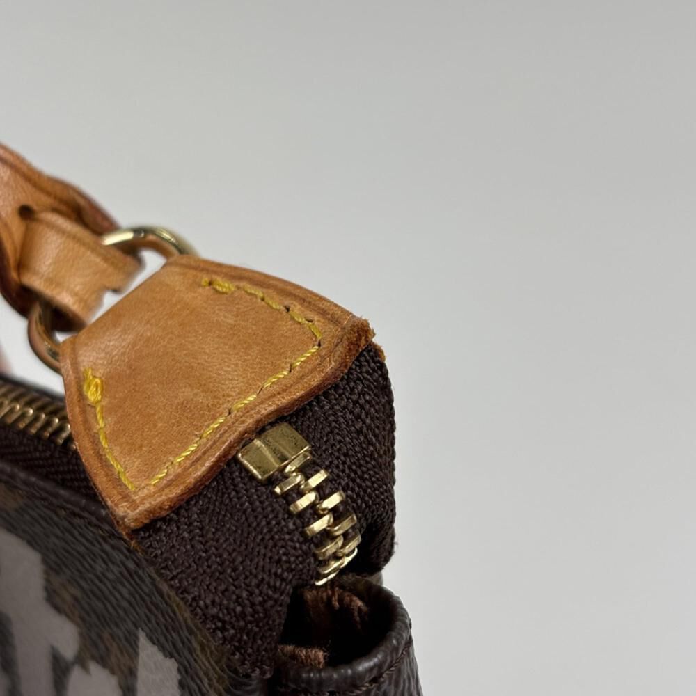 Louis Vuitton Pochette Accessoires