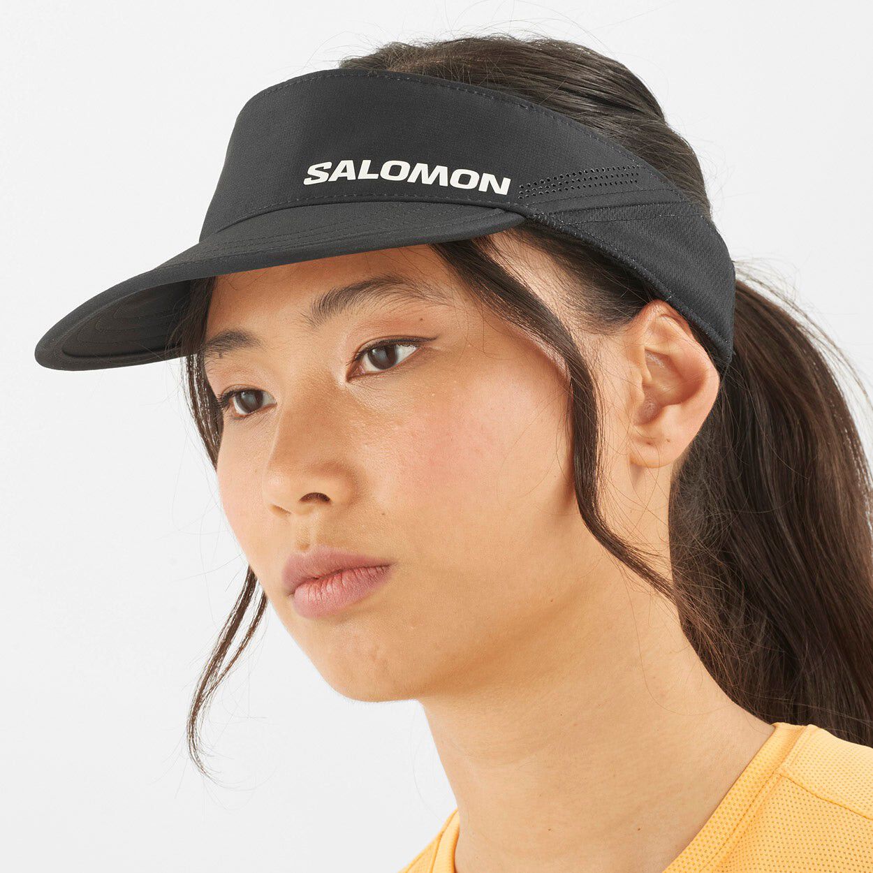 Visor Solsk&aelig;rm