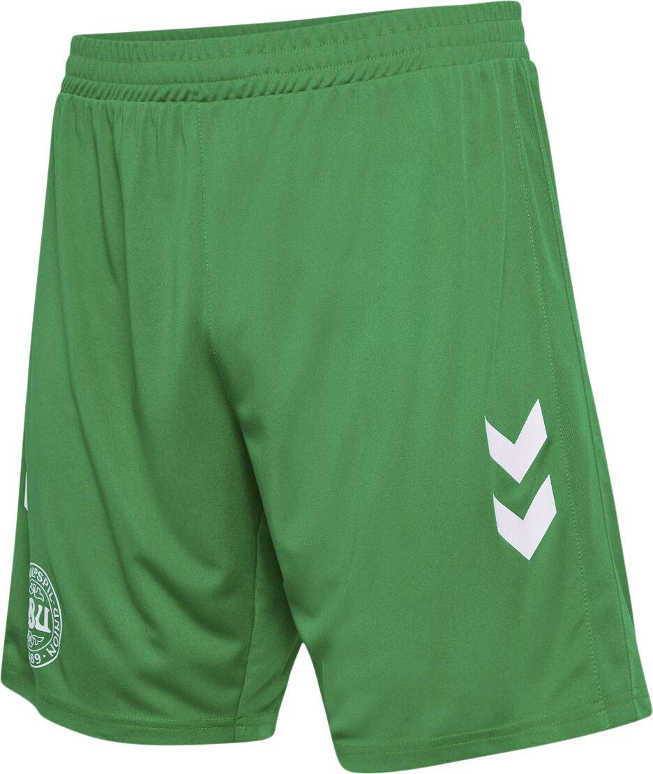 DBU Danmark 24 M&aring;lmandsshorts