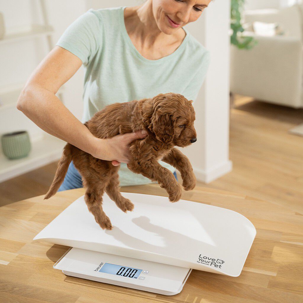 PetCare PP 170 Polly Multifunktionsv&aelig;gt til k&aelig;ledyr