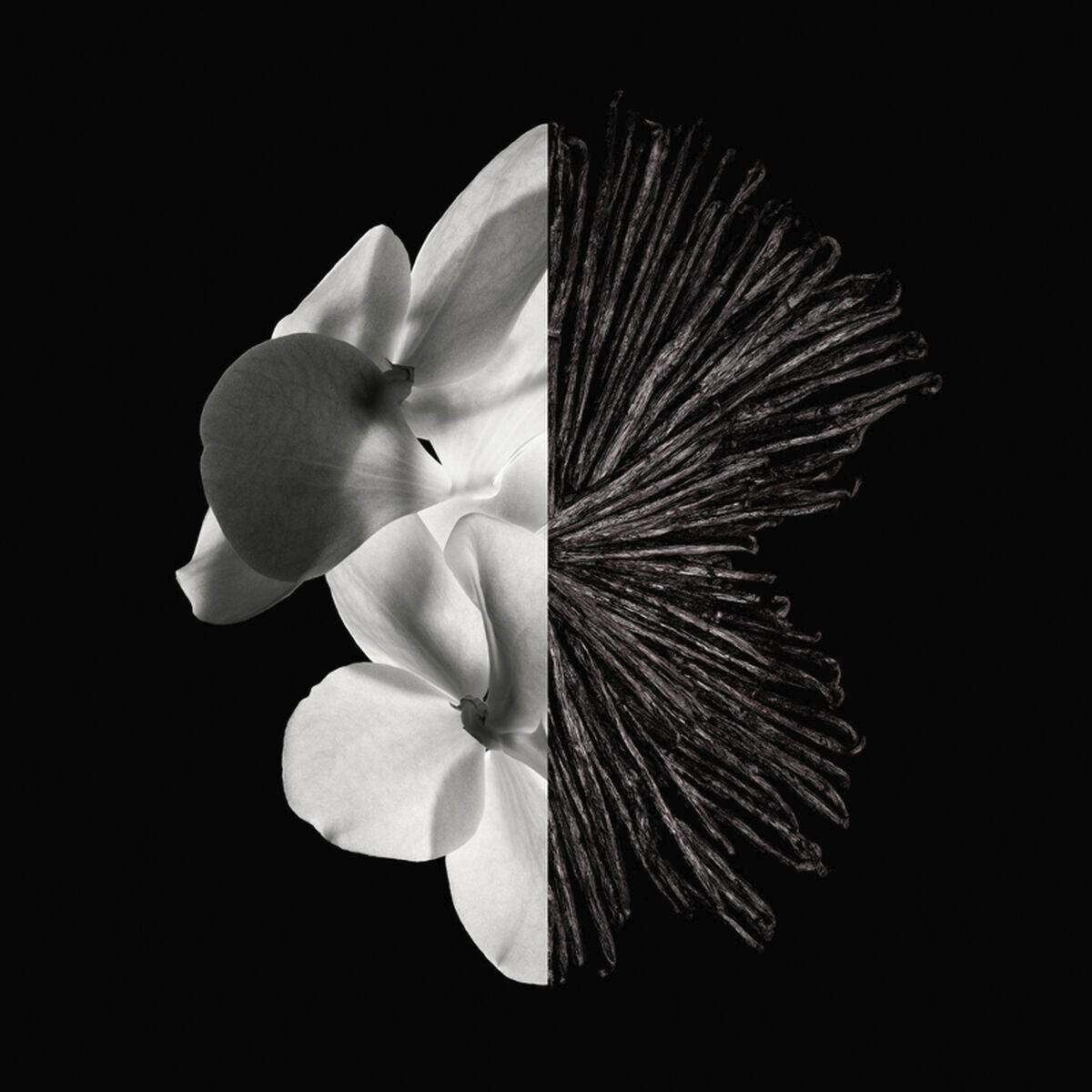 Givenchy Gentleman Eau de parfum