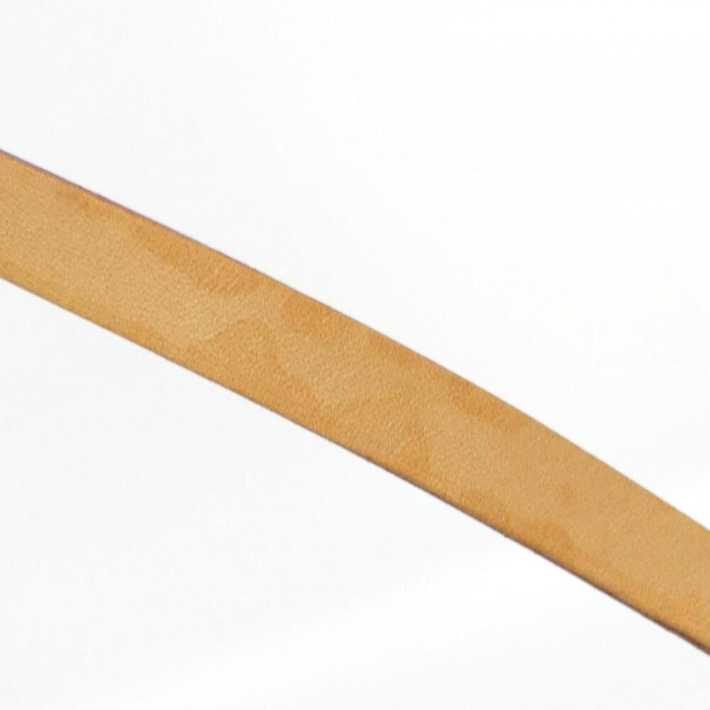 Louis Vuitton Florentine Pochette