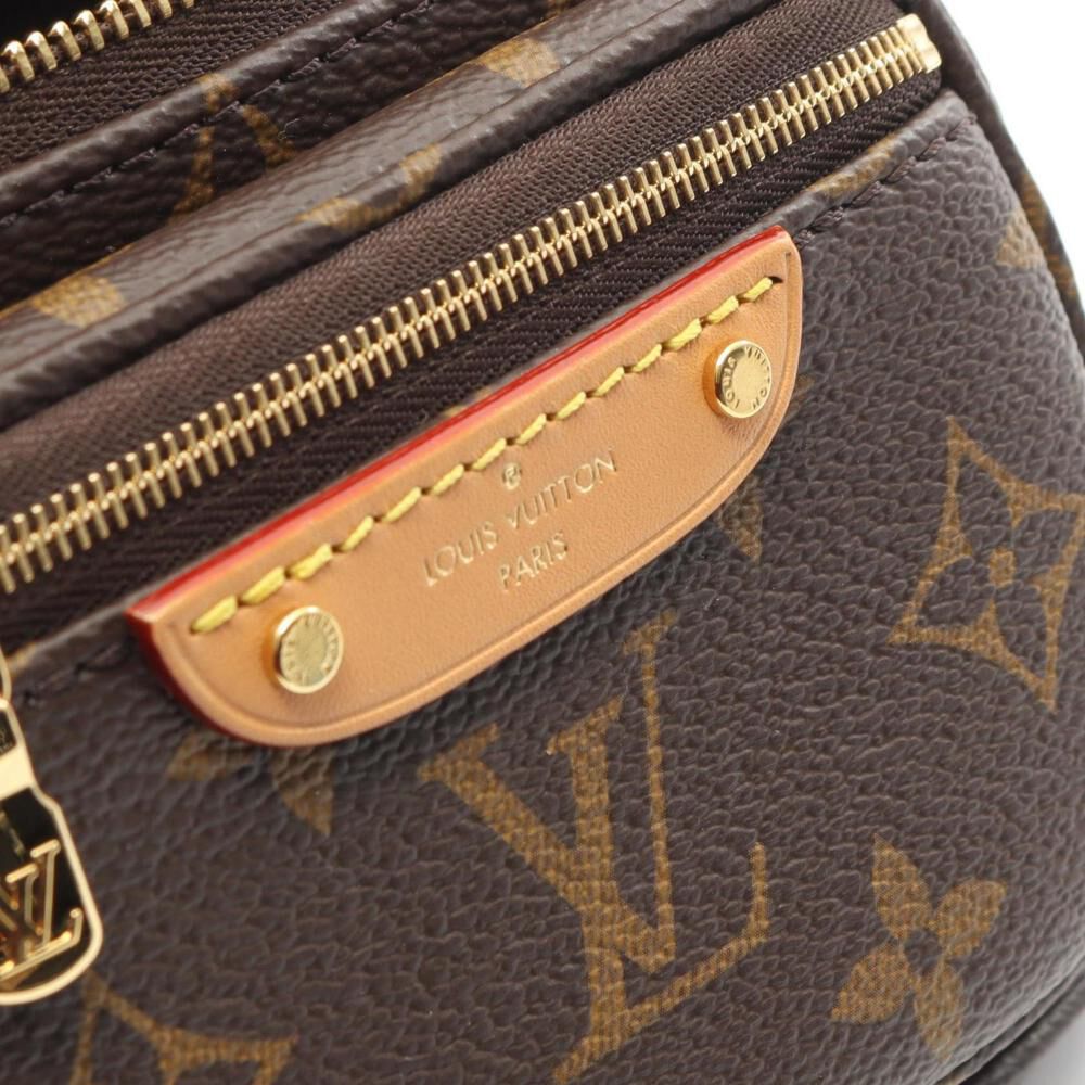 Louis Vuitton Bumbag