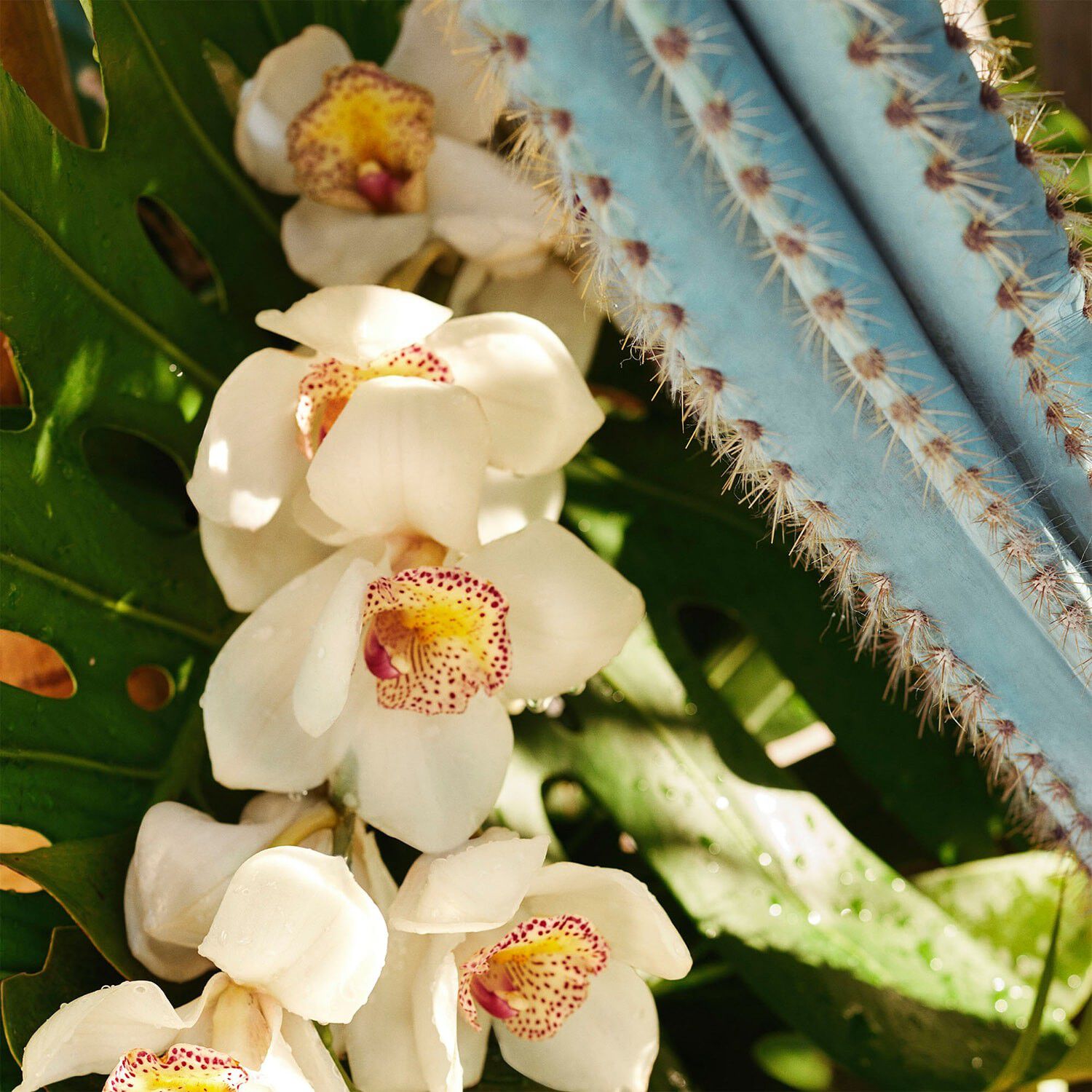 Refresco Para&iacute;so Perfumed Mist - Duftmist til krop og h&aring;r